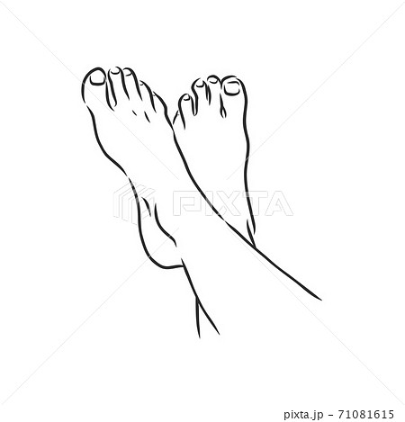 つまさきのイラスト素材