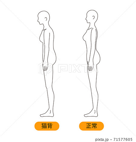 前傾姿勢のイラスト素材