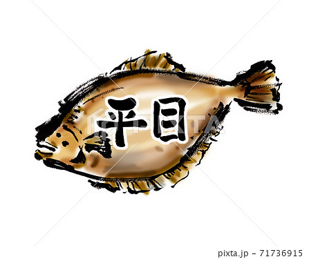 カレイ ヒラメのイラスト素材集 ピクスタ