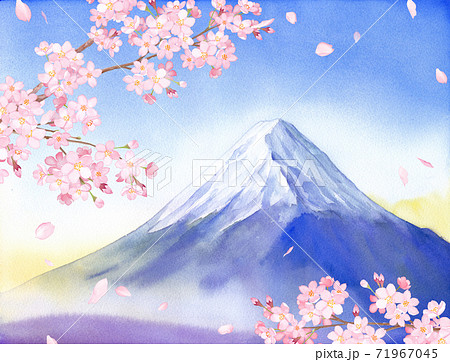 桜 富士山 春 桜吹雪のイラスト素材
