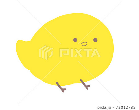 ぴよぴよのイラスト素材