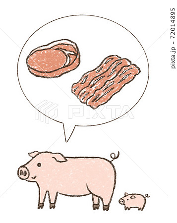 豚バラのイラスト素材