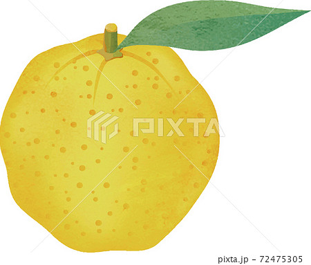 ゆずのイラスト素材集 ピクスタ