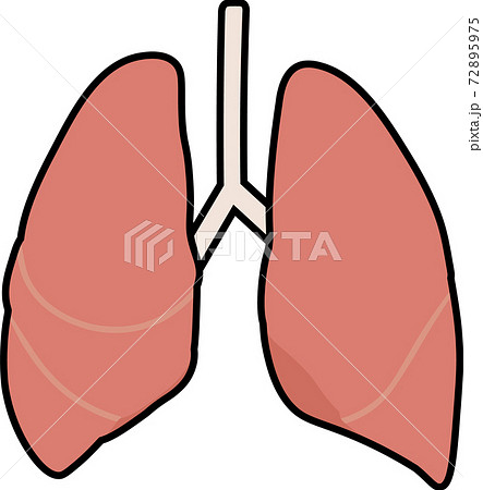 肺気胸のイラスト素材