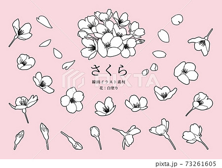 植物 白黒 日本 和のイラスト素材