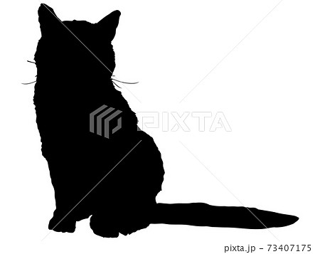 動物 猫 イラスト 正面 全身 座るのイラスト素材