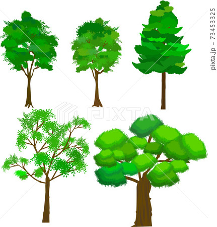 木 太い木 細い木 イラストのイラスト素材