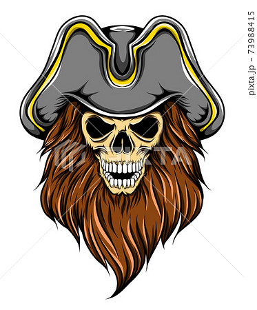 海賊帽子のイラスト素材