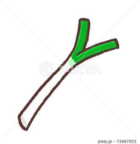 長ネギ かわいいのイラスト素材