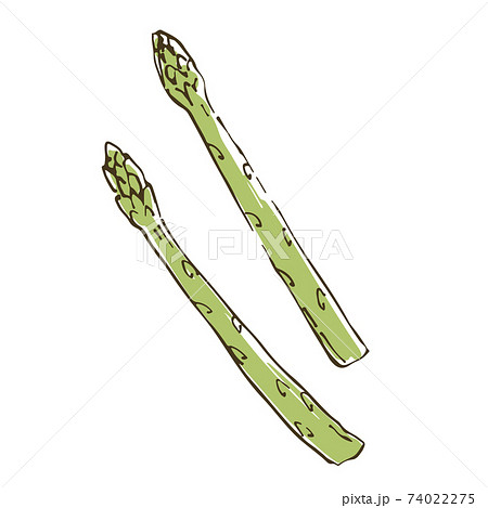 アスパラのイラスト素材集 ピクスタ