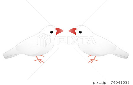 右向き 鳥のイラスト素材