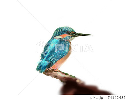 飛ぶ宝石のイラスト素材