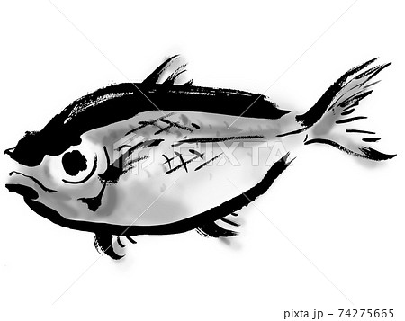 金目鯛のイラスト素材
