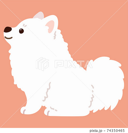 待て 犬のイラスト素材
