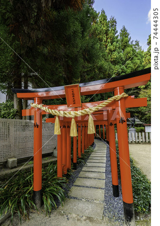 祓戸大神の写真素材