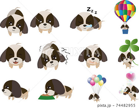 シーズーのイラスト素材