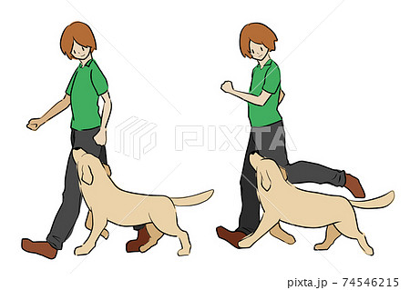 イラスト 動物 犬 走るの写真素材