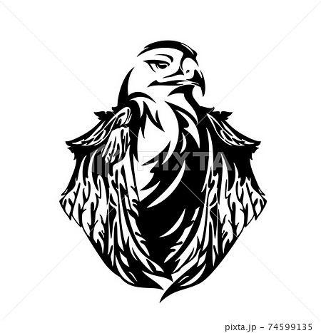 モノクロ 白黒 タカ 鷹のイラスト素材