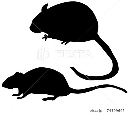 シルエットイラスト 横向き 生物のイラスト素材