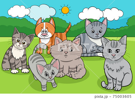 Cats Illustrations