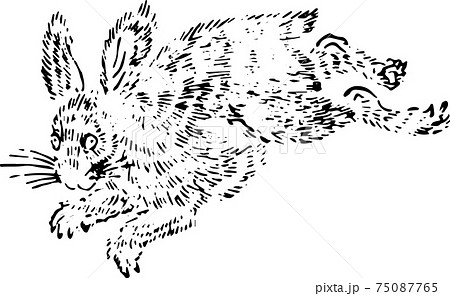 うさぎ モノクロ 白黒 動物のイラスト素材 うさぎ モノクロ 白黒 動物のイラスト素材