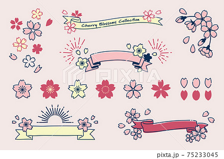 手描き 手書き 桜 お祝いのイラスト素材