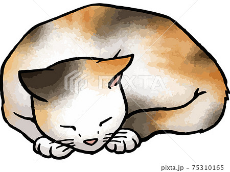 寝る 寝顔 猫 イラストのイラスト素材