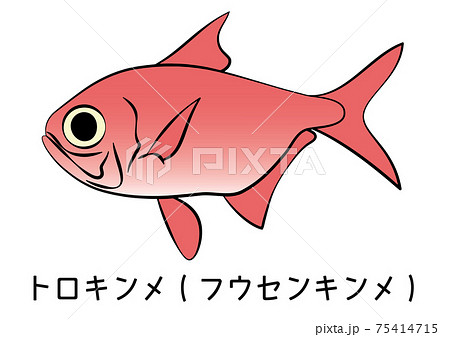 金目鯛のイラスト素材