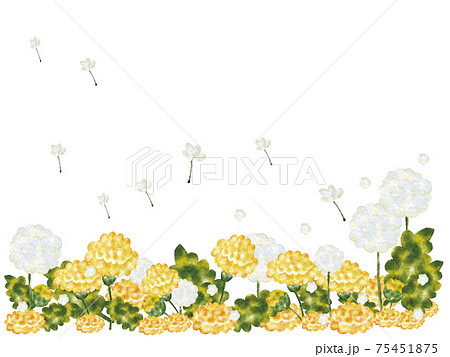 綿毛のイラスト素材