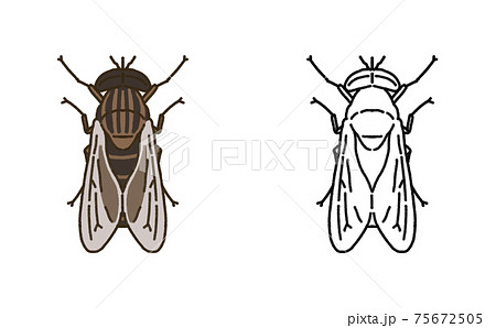 アブ 虫のイラスト素材