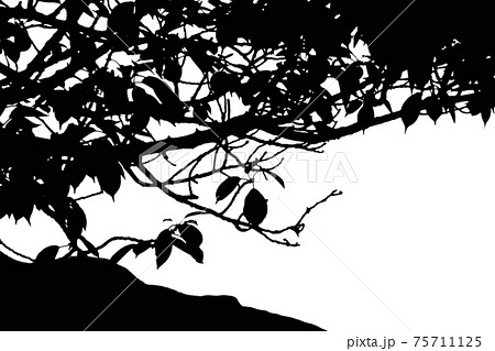 葉 シルエット 木 枝のイラスト素材
