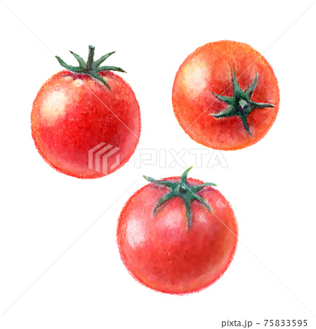 トマトのイラスト素材集 ピクスタ
