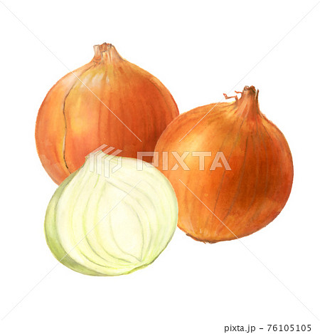 新玉ねぎのイラスト素材 新玉ねぎのイラスト素材