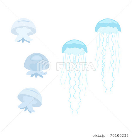 くらげのイラスト素材