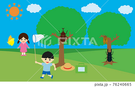 虫かご 虫取り網 蝶 昆虫採集のイラスト素材