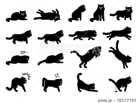 猫のポーズ集のイラスト素材