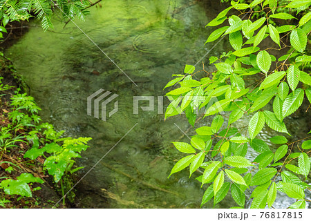 森 泉 水面 反射の写真素材