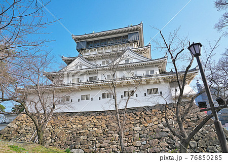 日本城 壁紙の写真素材