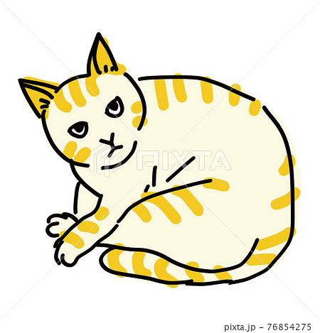 動物 猫 虎猫 イラストのイラスト素材