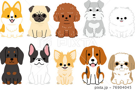 犬 コーギー イラスト かわいいのイラスト素材