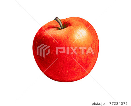 きれい 綺麗 りんご リンゴのイラスト素材