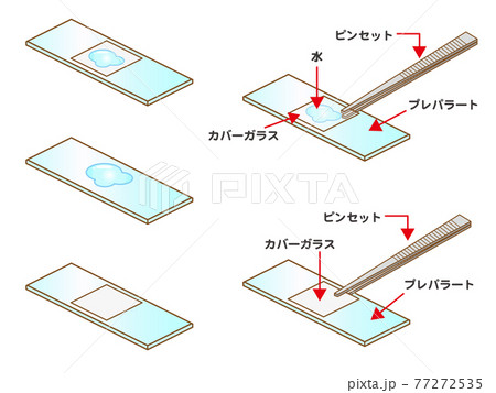 ピンセットのイラスト素材