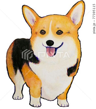 Corgiのイラスト素材