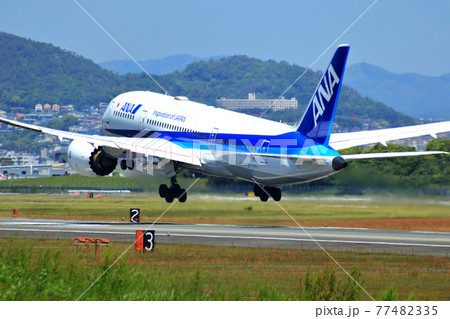 Ana 飛行機の写真素材