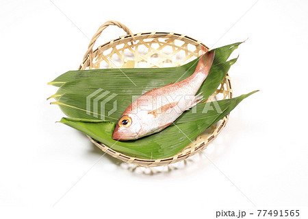 High Quality Fish Photos