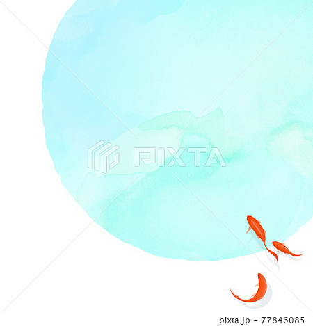 金魚 きれい 背景 イラストのイラスト素材