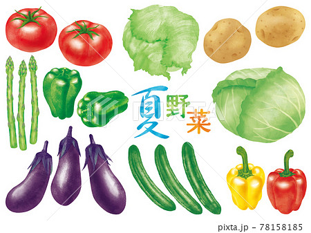 夏野菜のイラスト素材