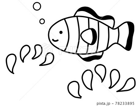 クマノミのイラスト素材集 Pixta ピクスタ