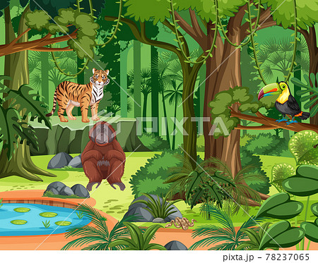 森林 背景イラスト トラ ジャングルのイラスト素材