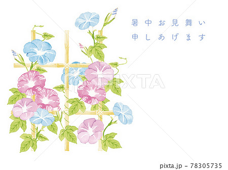 支柱竹の写真素材